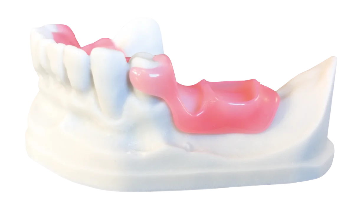 OPTIPRINT INTERIM® DENTONA conf. 500g - immagine 3