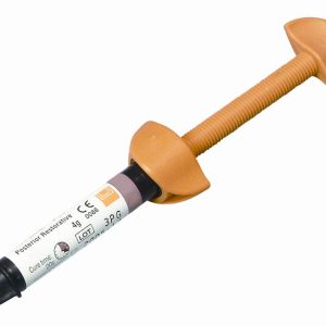 Filtek P60 3M/ESPE